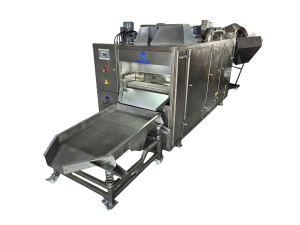 nr nuts roaster machine line
